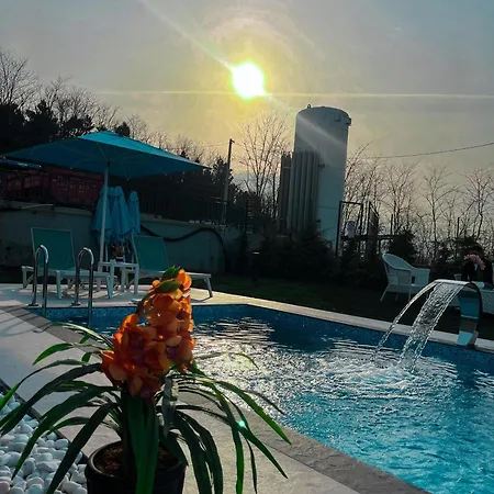 World Dreams Forest Sapanca